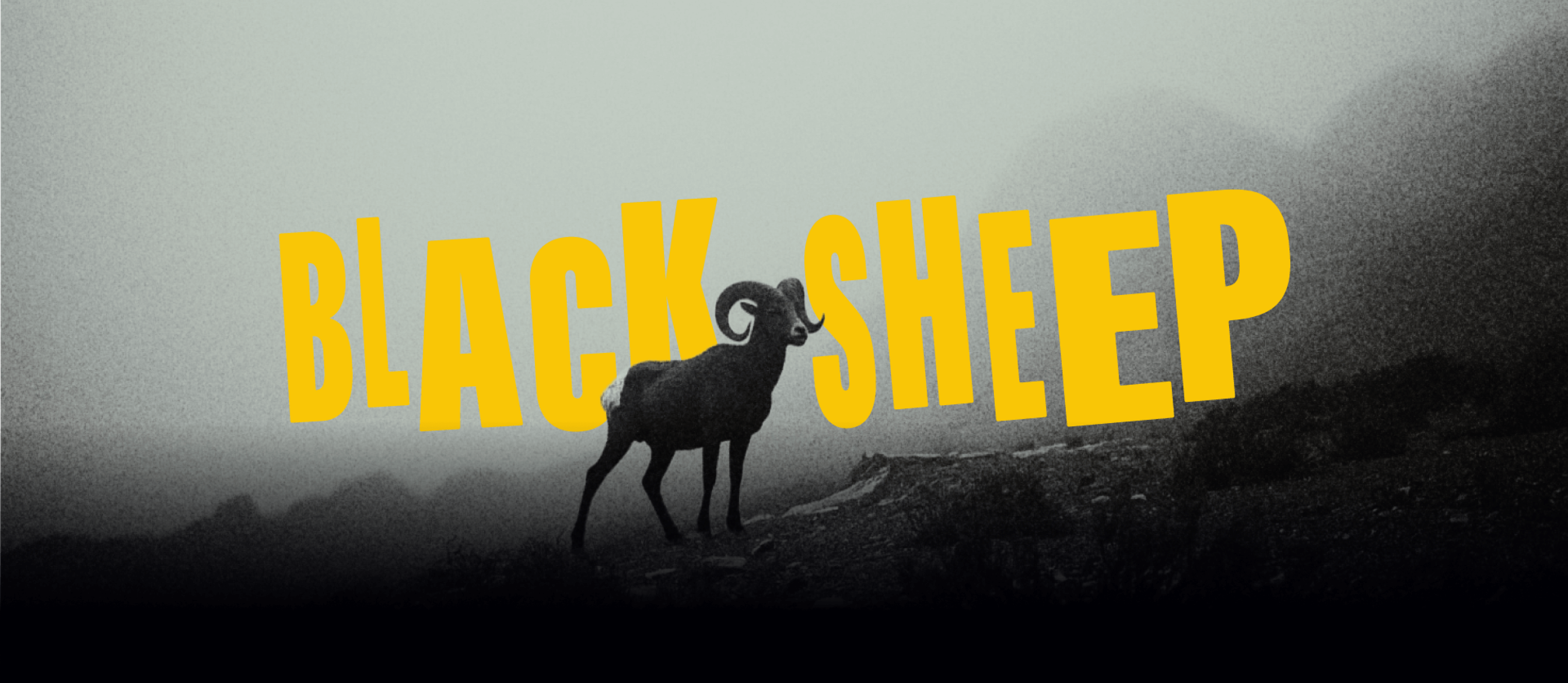 Black Sheep